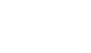 skillstorm logo