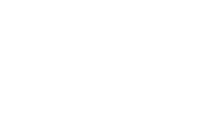 the spoon and the moon logo