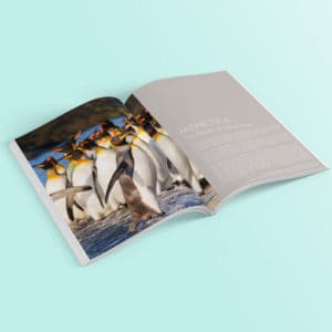 Antarctica cruise brochure