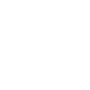 MHG INSURANCE