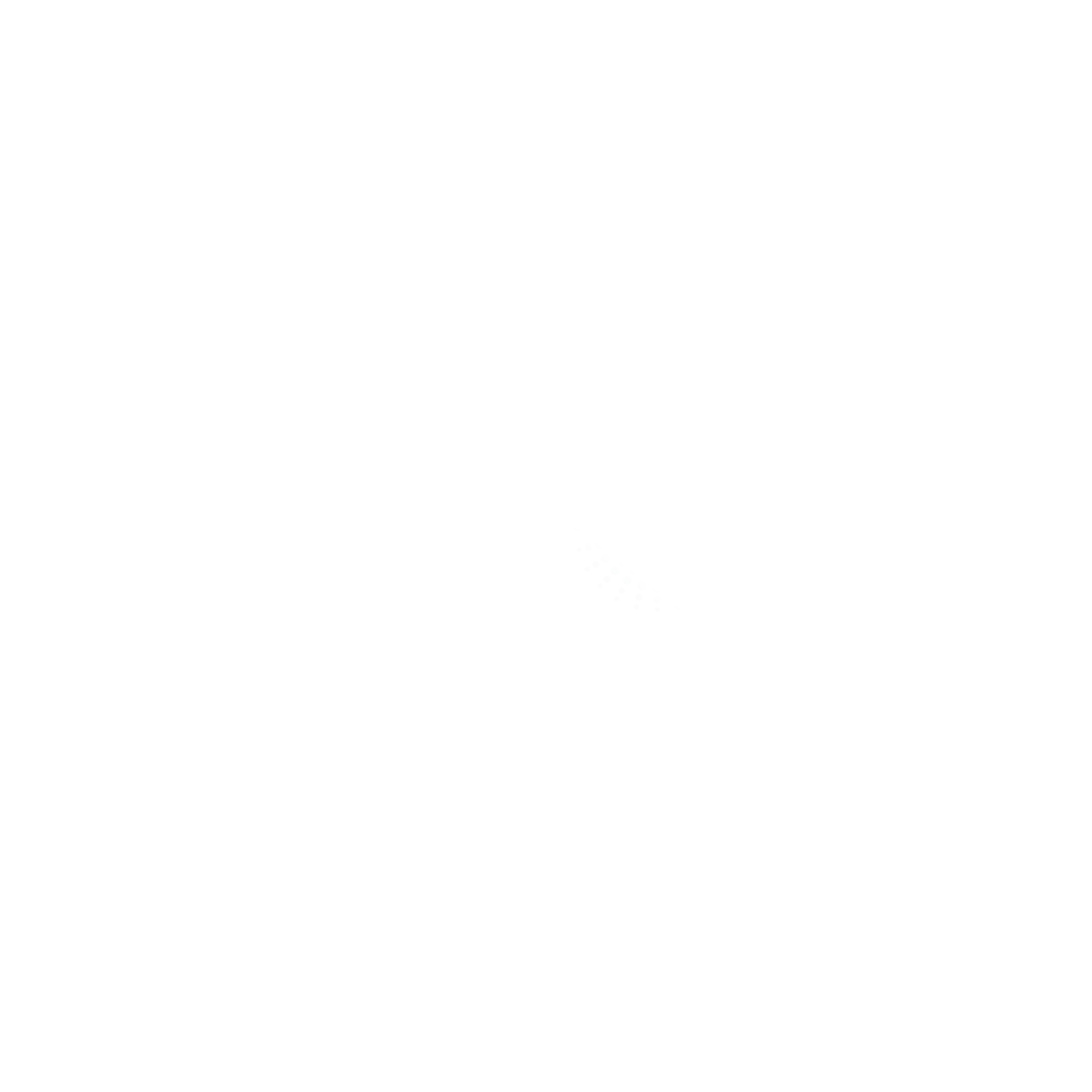 TechOne IT